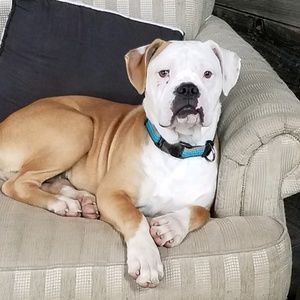 Meet your Posher, Janet